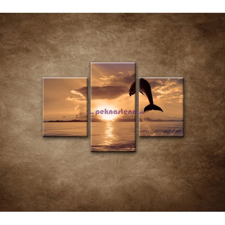 Obrazy na stenu - Skákajúci delfín - 3dielny 90x60cm