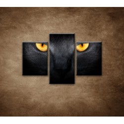 Obrazy na stenu - Temný pohľad - 3dielny 90x60cm