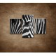Obrazy na stenu - Zebra - oko - 3dielny 90x60cm