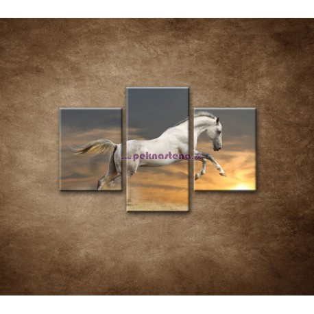 Obrazy na stenu - Kôň pri západe slnka - 3dielny 90x60cm