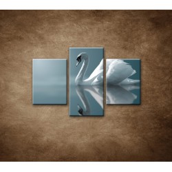 Obrazy na stenu - Labuť - 3dielny 90x60cm