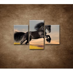 Obrazy na stenu - Skákajúci kôň - 3dielny 90x60cm