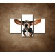 Obrazy na stenu - Ušatý pes - 3dielny 90x60cm
