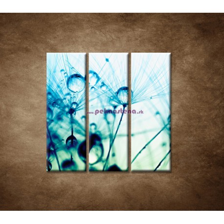 Obrazy na stenu - Kvapky vody na rastline - 3dielny 90x90cm