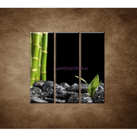 Obrazy na stenu - Čierne kamene a bambus - 3dielny 90x90cm