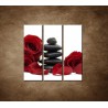 Obrazy na stenu - Čierne kamene a červené ruže - 3dielny 90x90cm