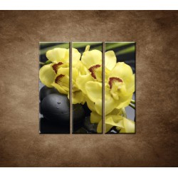 Obrazy na stenu - Žltá orchidea s kameňmi - 3dielny 90x90cm