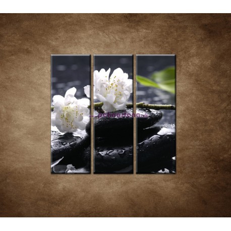 Obrazy na stenu - Sakura na kameni - 3dielny 90x90cm