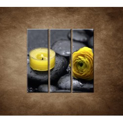 Obrazy na stenu - Žltá sviečka a kvet - 3dielny 90x90cm