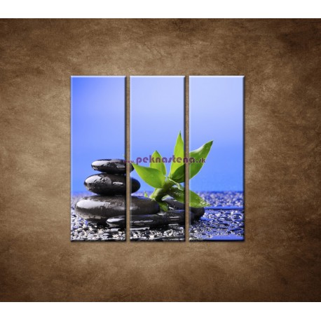 Obrazy na stenu - Bambusový výhonok na kameni - 3dielny 90x90cm