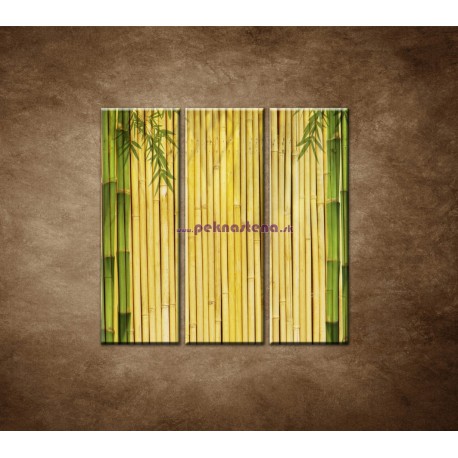 Obrazy na stenu - Bambusové stonky - 3dielny 90x90cm
