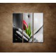 Obrazy na stenu - Mokré dievča s tulipánom - 3dielny 90x90cm