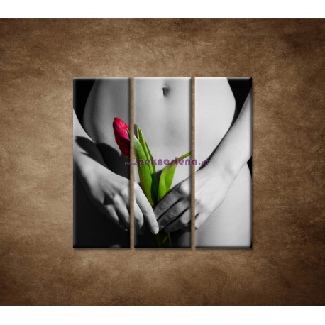 Obrazy na stenu - Dievča s tulipánom - 3dielny 90x90cm