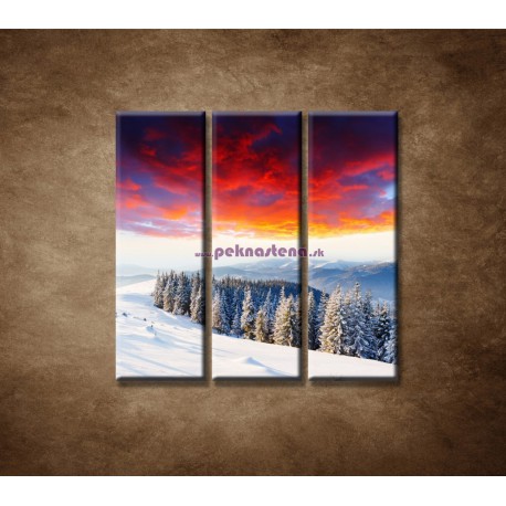 Obrazy na stenu - Zimná príroda - 3dielny 90x90cm