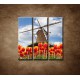 Obrazy na stenu - Mlyn s tulipánmi - 3dielny 90x90cm
