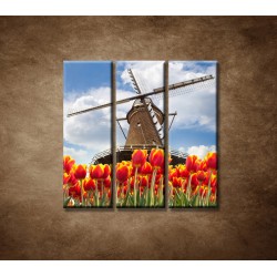 Obrazy na stenu - Mlyn s tulipánmi - 3dielny 90x90cm