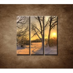 Obrazy na stenu - Krajina v zime - 3dielny 90x90cm