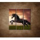 Obrazy na stenu - Čierny kôň - 3dielny 90x90cm