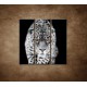 Obrazy na stenu - Čiernobiely jaguár - 3dielny 90x90cm