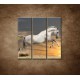 Obrazy na stenu - Kôň pri západe slnka - 3dielny 90x90cm