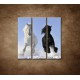 Obrazy na stenu - Párik koní - 3dielny 90x90cm