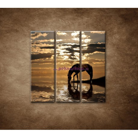 Obrazy na stenu - Kôň pri jazere - 3dielny 90x90cm