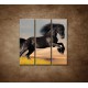 Obrazy na stenu - Skákajúci kôň - 3dielny 90x90cm