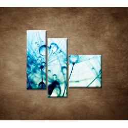 Obrazy na stenu - Kvapky vody na rastline - 3dielny 110x90cm