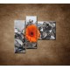 Obrazy na stenu - Oranžová gerbera a kamene - 3dielny 110x90cm