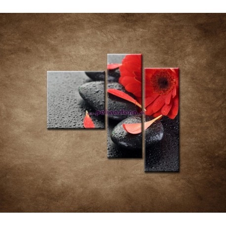 Obrazy na stenu - Červená gerbera a kamene - 3dielny 110x90cm