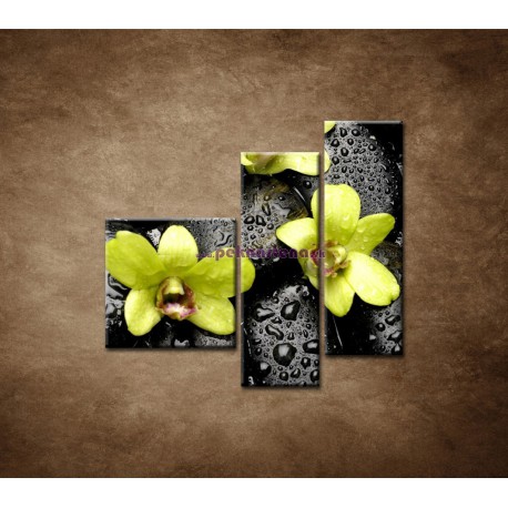 Obrazy na stenu - Kamene s kvapkami a orchideou - 3dielny 110x90cm