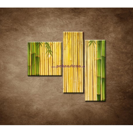 Obrazy na stenu - Bambusové stonky - 3dielny 110x90cm