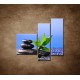 Obrazy na stenu - Bambusový výhonok na kameni - 3dielny 110x90cm