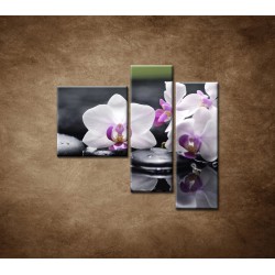 Obrazy na stenu - Ružová orchidea a kamene- 3dielny 110x90cm