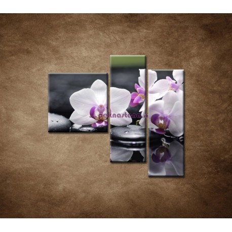 Obrazy na stenu - Ružová orchidea a kamene- 3dielny 110x90cm