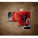 Obrazy na stenu - Červená amarylka - 3dielny 110x90cm