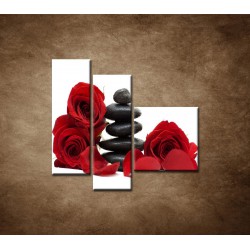Obrazy na stenu - Čierne kamene a červené ruže - 3dielny 110x90cm