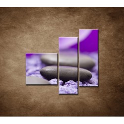 Obrazy na stenu - Kamene s fialovým kvetom - 3dielny 110x90cm