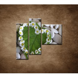 Obrazy na stenu - Srdce z kvetov - 3dielny 110x90cm