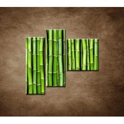 Obrazy na stenu - Bambus - 3dielny 110x90cm