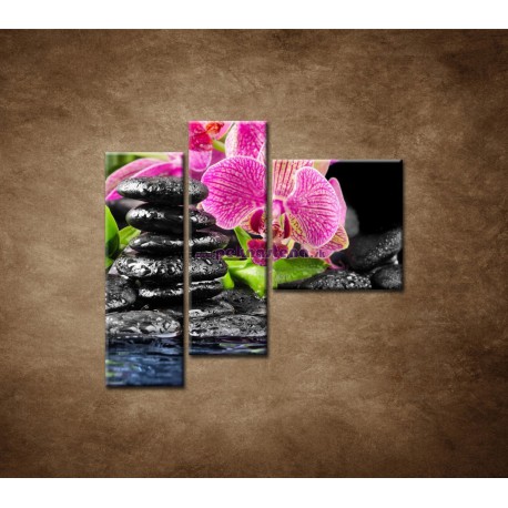 Obrazy na stenu - Kamene s kvetom - 3dielny 110x90cm