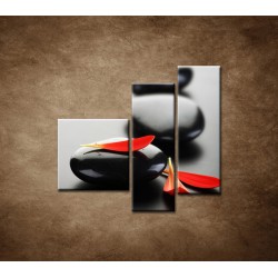 Obrazy na stenu - Čierny kameň s červeným lupeňom - 3dielny 110x90cm
