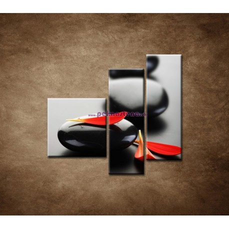 Obrazy na stenu - Čierny kameň s červeným lupeňom - 3dielny 110x90cm