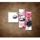 Obrazy na stenu - Kamene a kvety na bielom pozadí - 3dielny 110x90cm