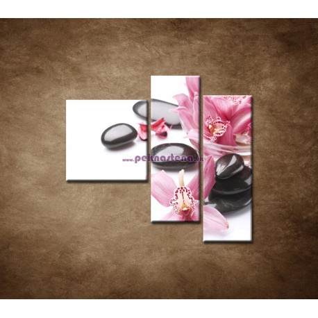Obrazy na stenu - Kamene a kvety na bielom pozadí - 3dielny 110x90cm