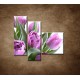 Obrazy na stenu - Nežné tulipány - 3dielny 110x90cm