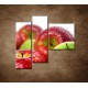 Obrazy na stenu - Červené a zelené jablká - 3dielny 110x90cm