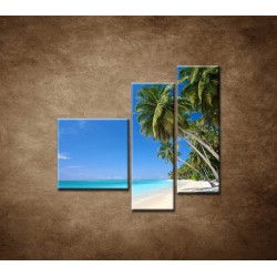 Obrazy na stenu - Pláž s palmami - 3dielny 110x90cm