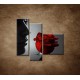 Obrazy na stenu - Žena s ružou - 3dielny 110x90cm