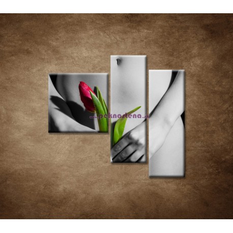 Obrazy na stenu - Dievča s tulipánom - 3dielny 110x90cm